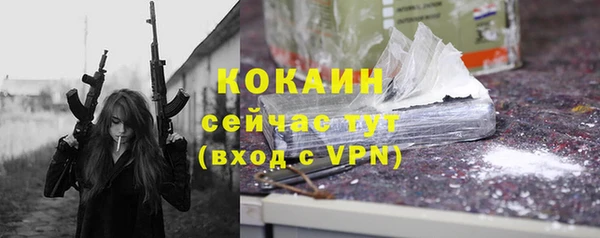СК Новозыбков