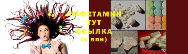 СК Новозыбков