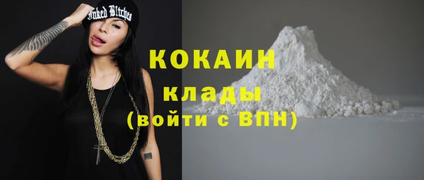 СК Новозыбков