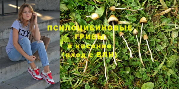МДПВ Нязепетровск