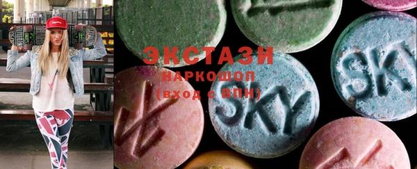 СК Новозыбков