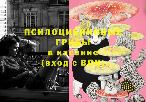 МДПВ Нязепетровск