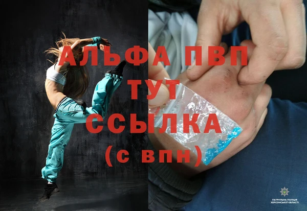 СК Новозыбков