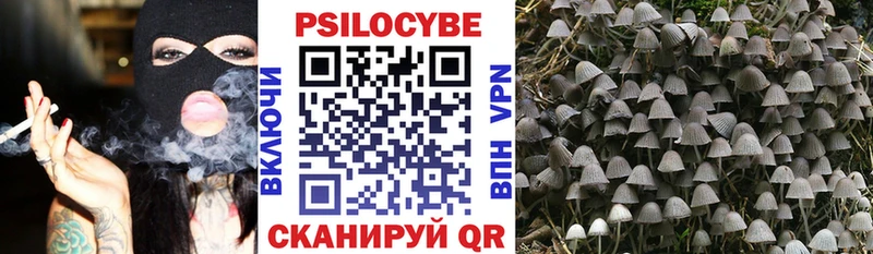 МЕГА рабочий сайт Ялта Псилоцибиновые грибы Cubensis